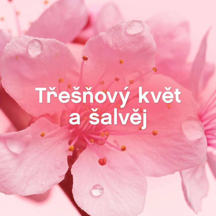 Lenor Цветение вишни и шалфей 925 мл: цены и характеристики
