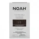 Noah