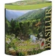Літній чай Зелений чай, 100 г, Basilur