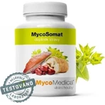 Mycomedica Мікосомат Веган 500мг 90капс 1×90 капс.: ціни та характеристики