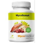 Mycomedica Мікосомат Веган 500мг 90капс 1×90 капс.: ціни та характеристики