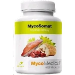 Mycomedica Мікосомат Веган 500мг 90капс 1×90 капс.: ціни та характеристики