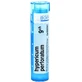 Boiron Hypericum Perforatum CH9 гранули 4 г