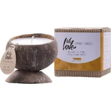 WE LOVE THE PLANET SOY CANDLE KO C.COCO 190G 1×190г, соєва свічка