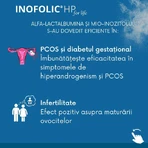 Инофолик HP Loli Pharma Inofolic HP, 30 пакетиков: цены и характеристики