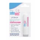 Дерматологічний захисний бальзам для губ, 4,8 г, Sebamed Baby