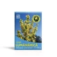 Чай луманаріка, 50 г, звіробій