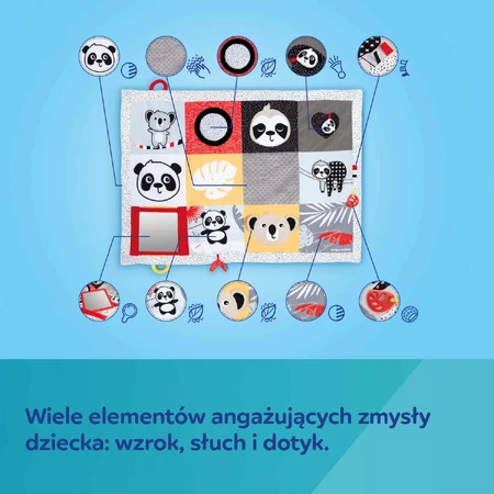 Canpol Babies, развивающий коврик, Tummy Time BabiesBoo, 68/094, с рождения, 1 штука КРАТКАЯ УПАКОВКА: цены и характеристики