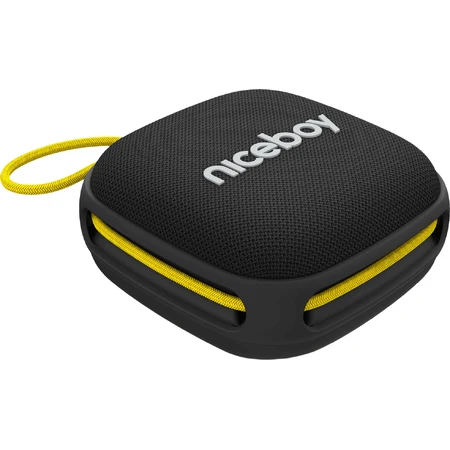 Niceboy RAZE Mini 4: ціни та характеристики