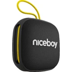 Niceboy RAZE Mini 4: ціни та характеристики