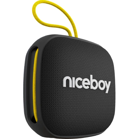 Niceboy RAZE Mini 4: ціни та характеристики