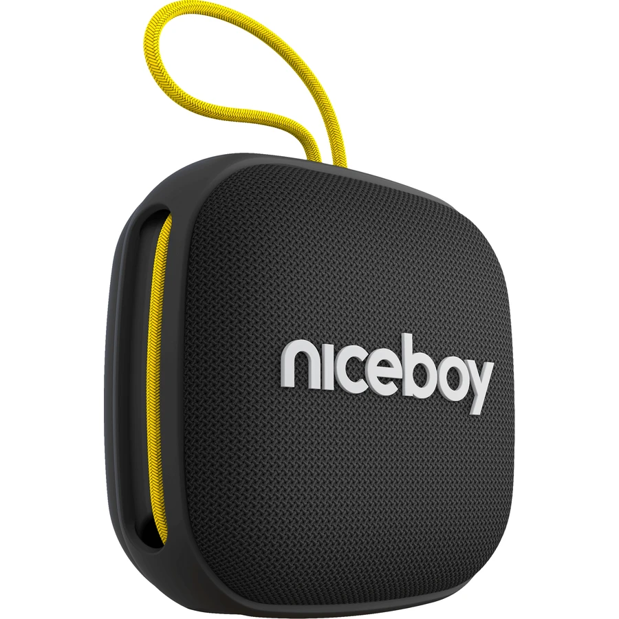 Niceboy RAZE Mini 4: ціни та характеристики