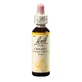 Краплі для квітів Cerato Original Bach, 20 мл, Rescue Remedy