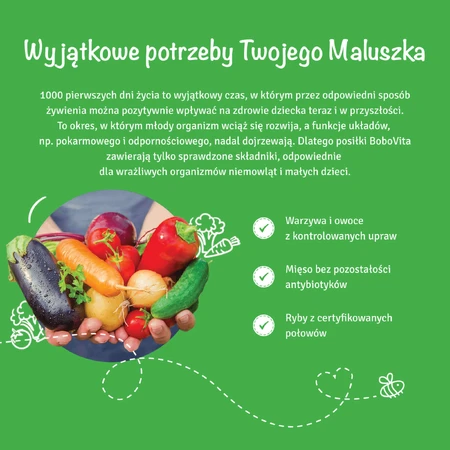 BoboVita Ланч, морква, після 4 місяців, 125 г: ціни та характеристики