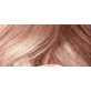 L'Oréal Paris Фарба для волосся Récital Préférence Відтінок: 8.23 Мерехтлива троянда
