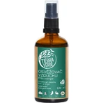 Tierra Verde Bio Fresheners Bio Inflow Energy 1×100мл, освіжувач повітря: ціни та характеристики