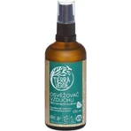 Tierra Verde Bio Fresheners Bio Inflow Energy 1×100мл, освіжувач повітря: ціни та характеристики