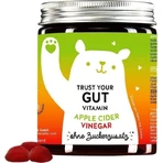 Bears With Benefits Trust your gut витамины для лучшего пищеварения и детоксикации без сахара 1×60 шт, пищевая добавка для лучшего пищеварения и детоксикации в виде жевательных конфет: цены и характеристики