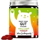 Bears With Benefits Trust your gut витамины для лучшего пищеварения и детоксикации без сахара 1×60 шт, пищевая добавка для лучшего пищеварения и детоксикации в виде жевательных конфет