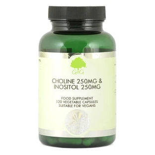 G&G Choline 250 mg & Inositol 250 mg, холін та інозитол, 120 капсул