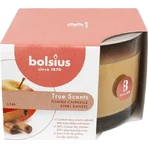 Bolsius Aromatic 2.0 Glass Apple Cinammon ароматическая свеча 1×1 шт, размер 90 x 63 мм: цены и характеристики