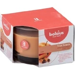 Bolsius Aromatic 2.0 Glass Apple Cinammon ароматическая свеча 1×1 шт, размер 90 x 63 мм: цены и характеристики