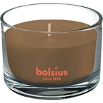 Bolsius Aromatic 2.0 Glass Apple Cinammon ароматическая свеча 1×1 шт, размер 90 x 63 мм: цены и характеристики