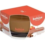 Bolsius Aromatic 2.0 Glass Apple Cinammon ароматическая свеча 1×1 шт, размер 90 x 63 мм: цены и характеристики