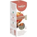 Bolsius Aromatic 2.0 Diffuser Apple Cinnamon, ароматичні палички 1×45 мл, ароматизатор для дому
