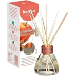 Диффузор Bolsius Aromatic 2.0 Яблочная корица, ароматические палочки 1×45 мл, аромат для дома: цены и характеристики