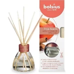 Диффузор Bolsius Aromatic 2.0 Яблочная корица, ароматические палочки 1×45 мл, аромат для дома: цены и характеристики