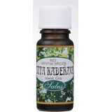 SALOOS Эфирное масло 100% натуральное CURLY MINT 1×10 мл масло