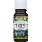 SALOOS Эфирное масло 100% натуральное CURLY MINT 1×10 мл масло: цены и характеристики