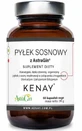 Сосновий пиріг з AstraGin 60 капсул Kenay