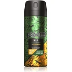 Дезодорант Axe дезодорант Зелений мохіто 1×150 мл, дезодорант: ціни та характеристики