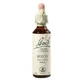 Буковые капли, оригинал Баха, бук, 20 мл, Rescue Remedy