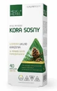 Кора сосни 600мг (350мг OPC) 40 капсул Medica Herbs