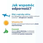 Искиал Иммуно Макс + Чеснок USP Iskial Immuno Max + Czosnek для детей старше 6 лет и взрослых, 120 капсул: цены и характеристики