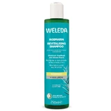 Weleda, відновлюючий шампунь з розмарином, 250 мл