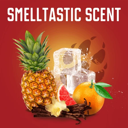 Дезодорант Old Spice WolfThorn Твердий з ароматом тропічних цитрусових 50 мл: ціни та характеристики