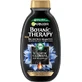 Ампон Garnier Botanic Therapy Магнітне вугілля та олія чорного насіння, 400 мл
