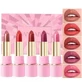 VES2954 Набор 5 губных помад, Handaiyan, B, 5 x 3,5 г