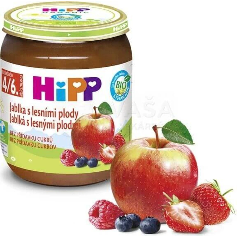 HiPP Фруктова добавка Яблука з ягодами 1×125 г, фруктова добавка для дітей: ціни та характеристики
