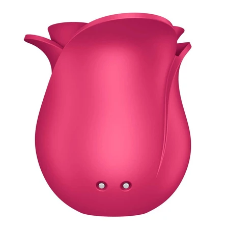Satisfyer Pro 2 Modern Blossom, бесконтактный эхт-массажер, воздух, роза: цены и характеристики