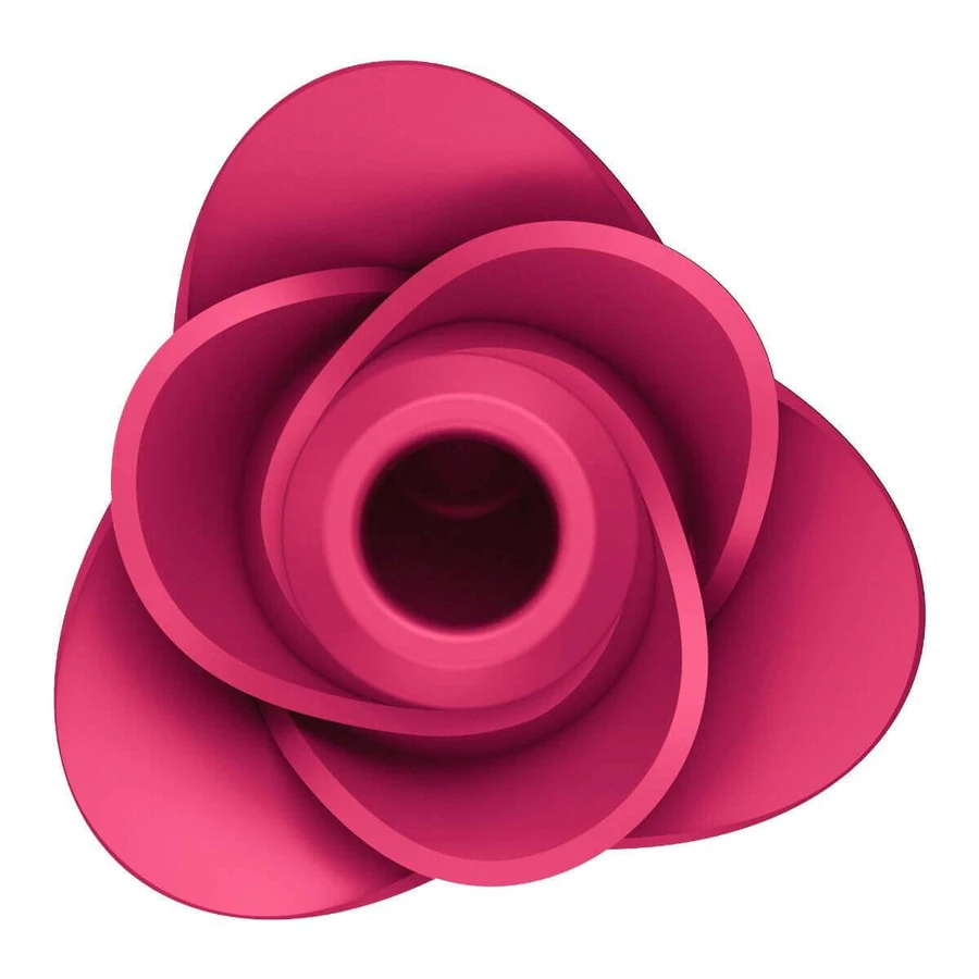 Satisfyer Pro 2 Modern Blossom, бесконтактный эхт-массажер, воздух, роза: цены и характеристики