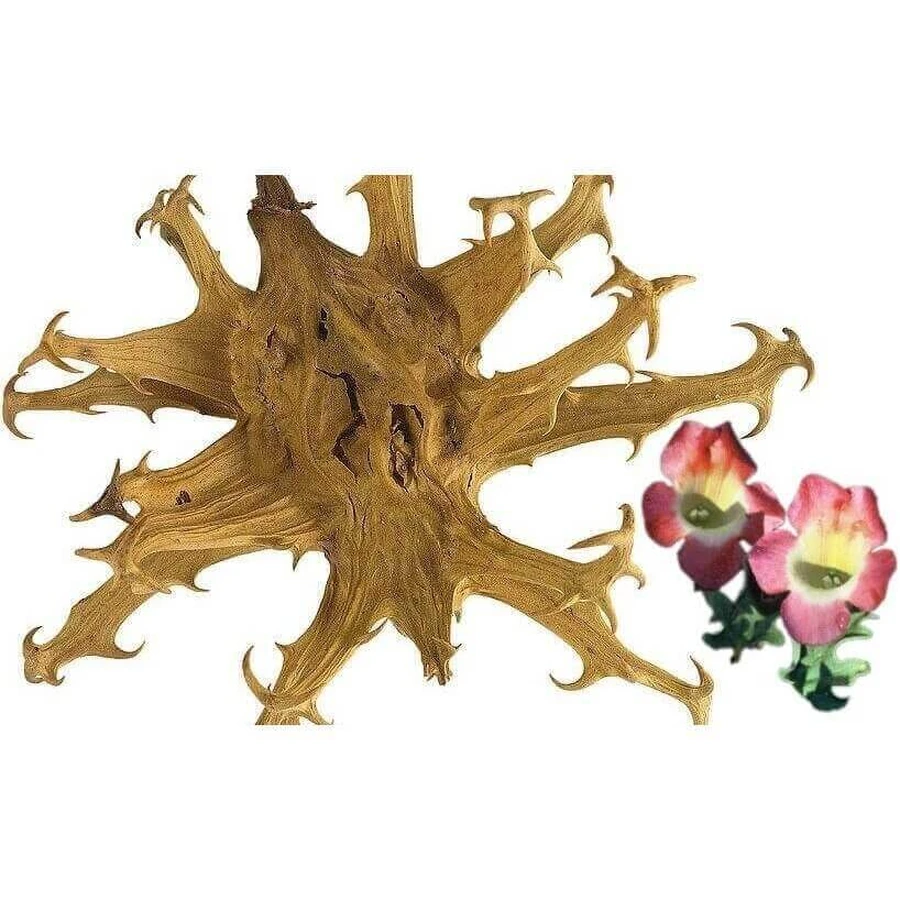 Гель-бальзам для тела Alpifresh Devil's Claw Extract, 250 мл: цены и характеристики