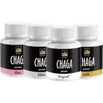 Royal Chaga Экстракт порошка сибирской чаги 1×90 г, пищевая добавка: цены и характеристики