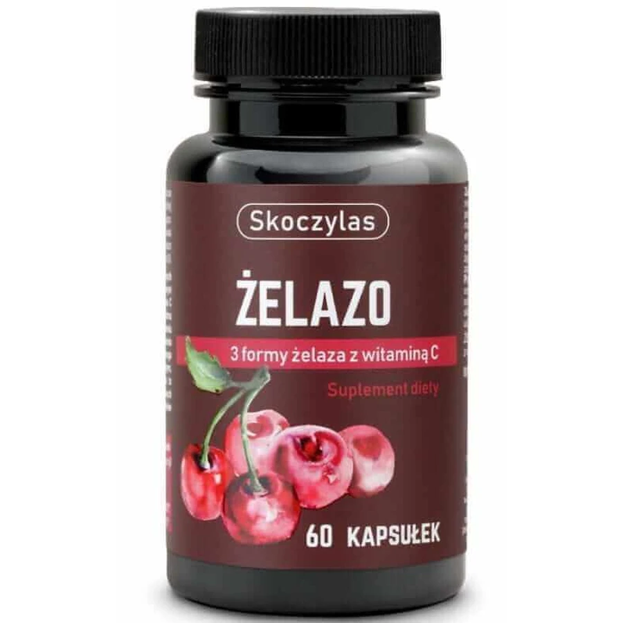 Skoczylas elazo 3 формы с витамином С 60 капсул: цены и характеристики