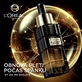 L'Oréal Paris Age Perfect Skin Serum 30 мл