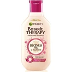 Garnier BOTANIC THERAPY RICINUS OIL SHAMPOO 1×450 мл, шампунь: ціни та характеристики